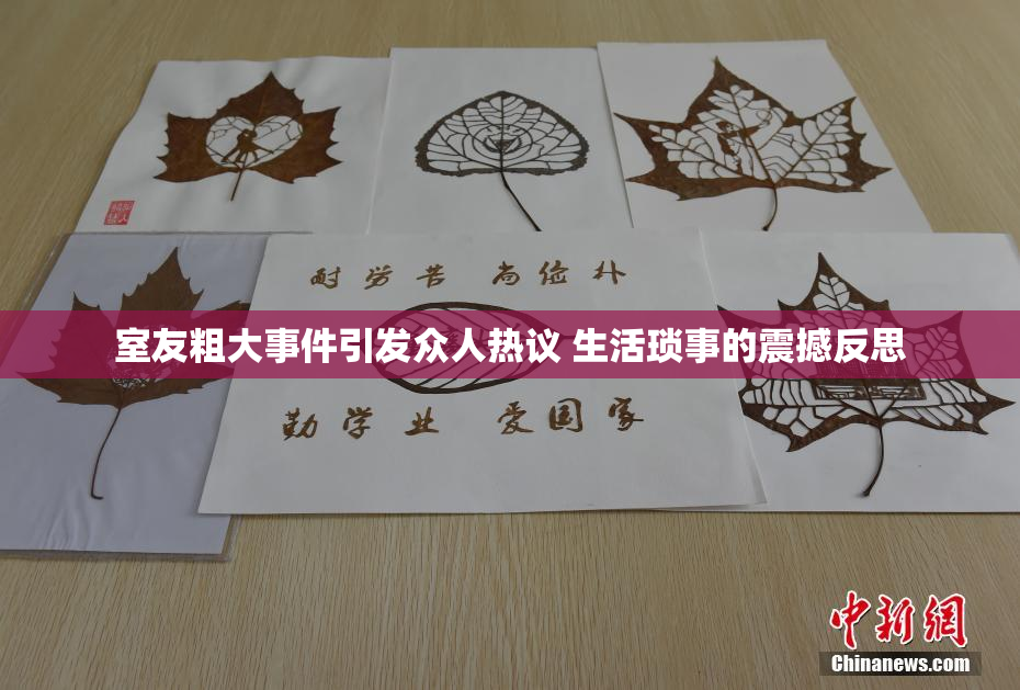 室友粗大事件引发众人热议 生活琐事的震撼反思