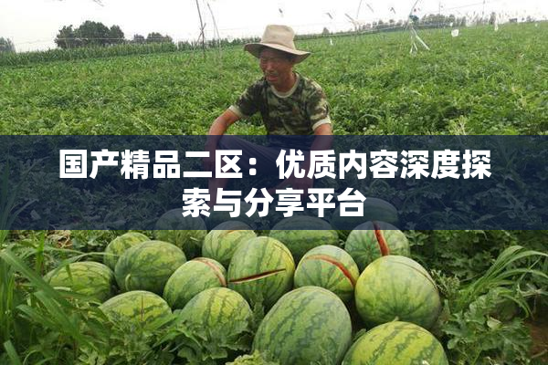 国产精品二区：优质内容深度探索与分享平台