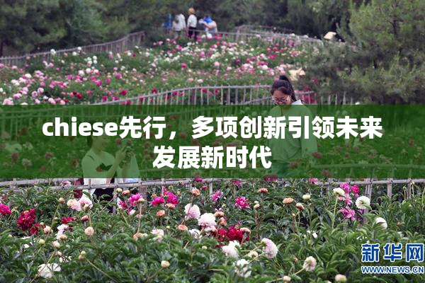 chiese先行，多项创新引领未来发展新时代