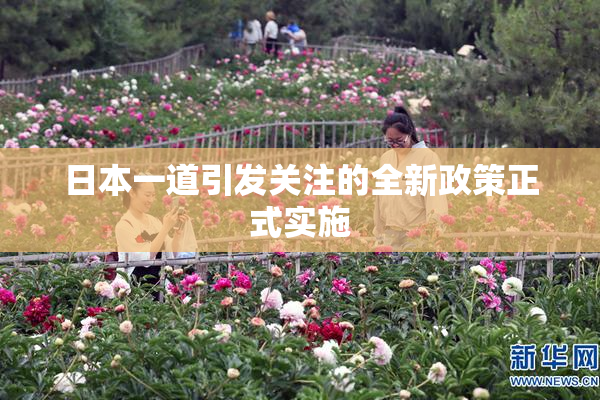 日本一道引发关注的全新政策正式实施