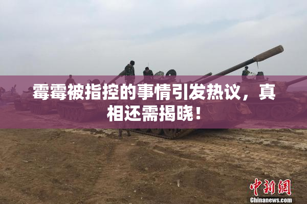 霉霉被指控的事情引发热议，真相还需揭晓！