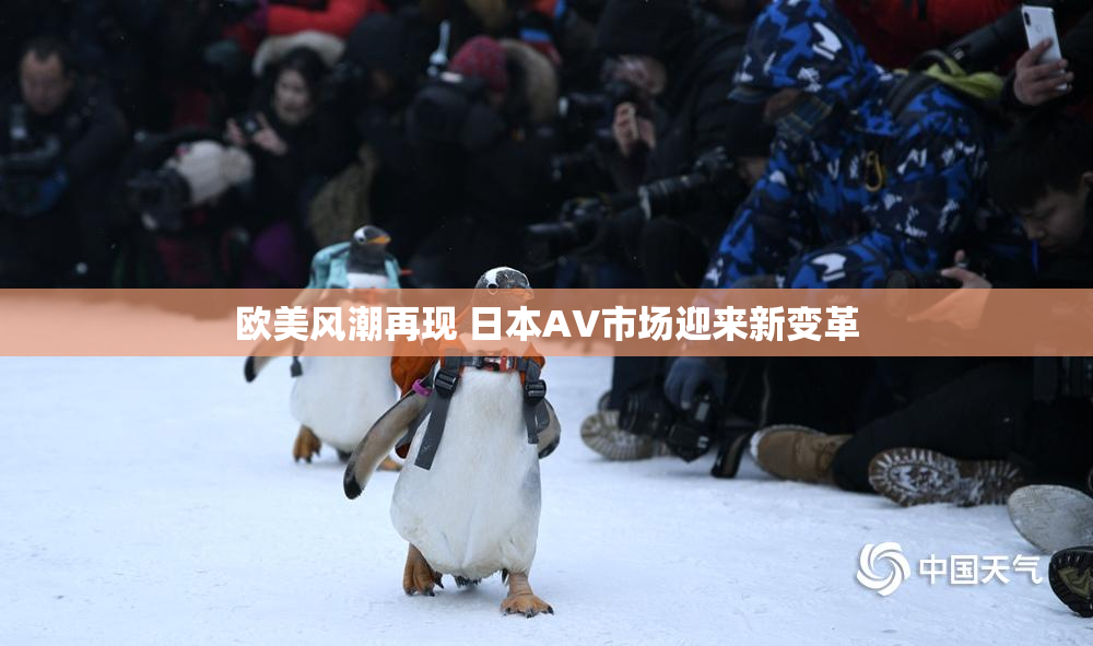 欧美风潮再现 日本AV市场迎来新变革