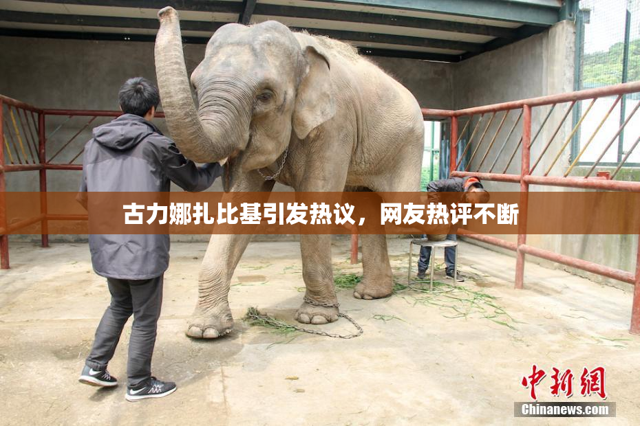 古力娜扎比基引发热议，网友热评不断