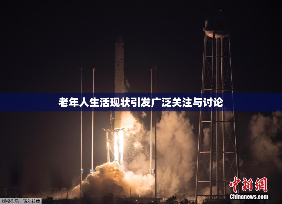 老年人生活现状引发广泛关注与讨论