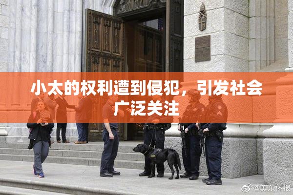 小太的权利遭到侵犯，引发社会广泛关注