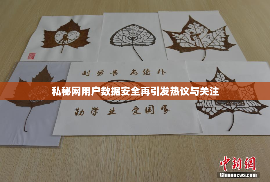 私秘网用户数据安全再引发热议与关注