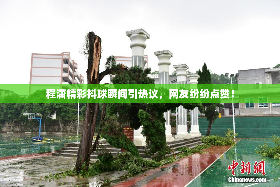 程潇精彩抖球瞬间引热议，网友纷纷点赞！