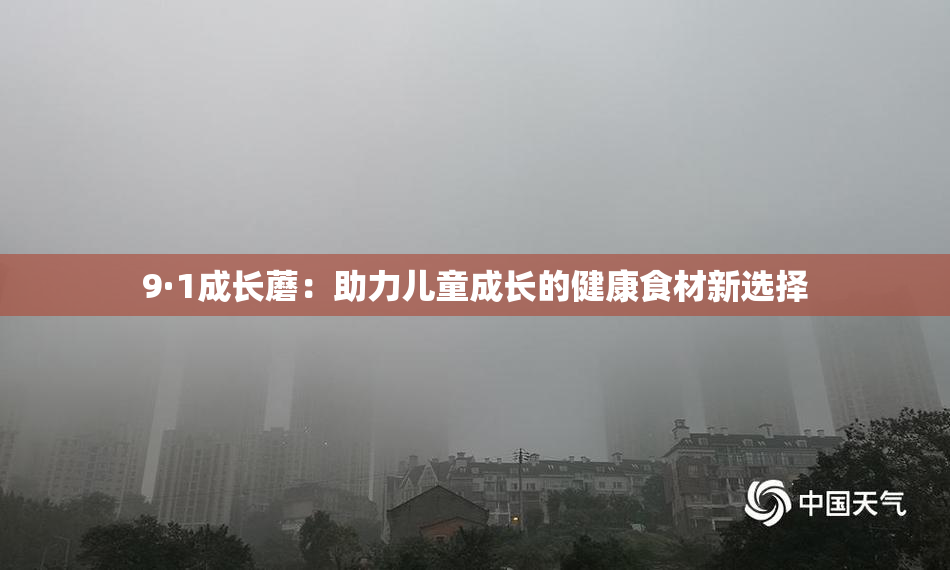 9·1成长蘑：助力儿童成长的健康食材新选择