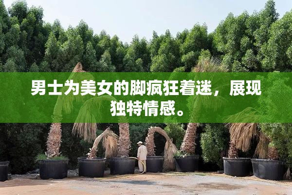 男士为美女的脚疯狂着迷，展现独特情感。