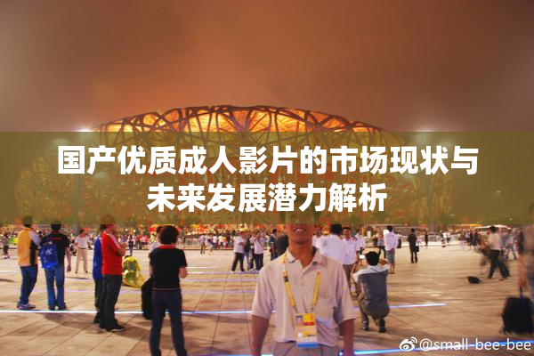 国产优质成人影片的市场现状与未来发展潜力解析