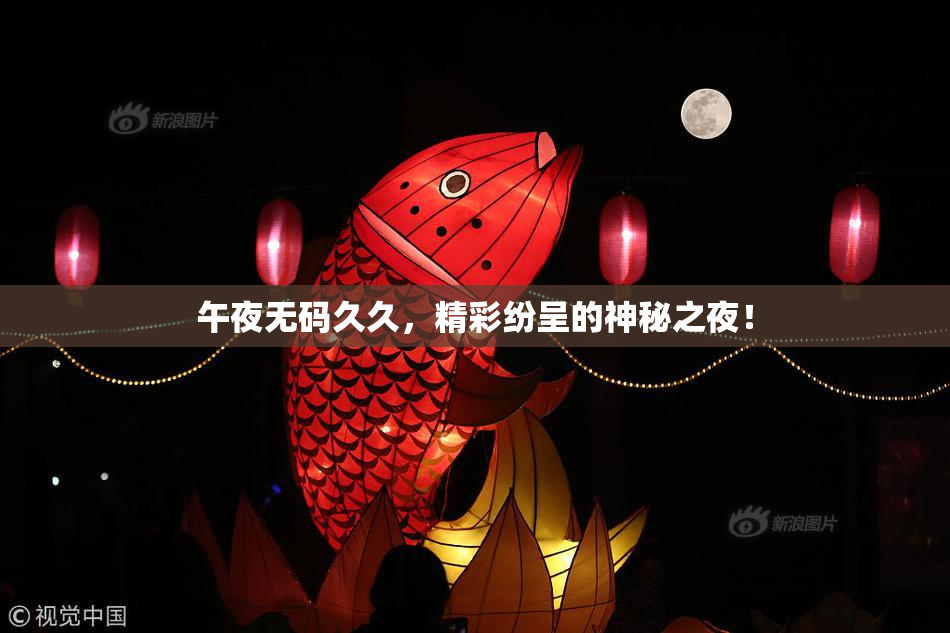 午夜无码久久，精彩纷呈的神秘之夜！