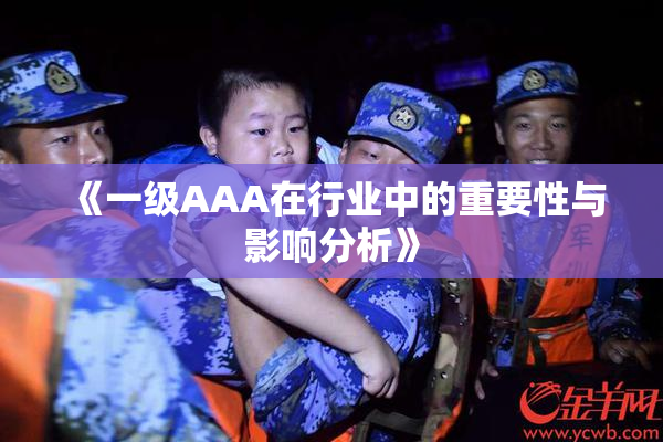 《一级AAA在行业中的重要性与影响分析》