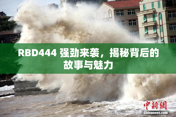 RBD444 强劲来袭，揭秘背后的故事与魅力