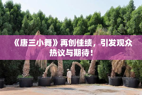 《唐三小舞》再创佳绩，引发观众热议与期待！