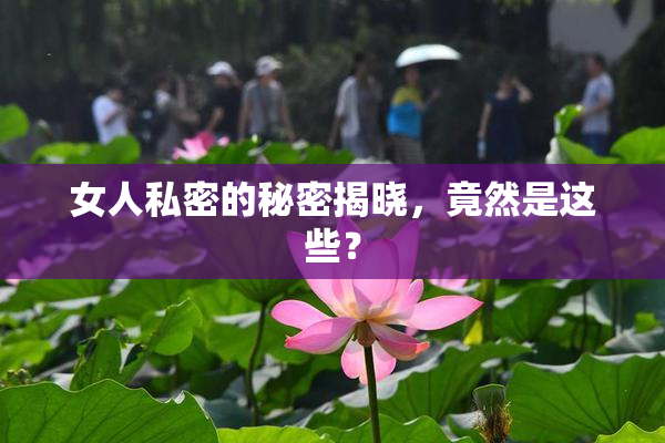 女人私密的秘密揭晓，竟然是这些？