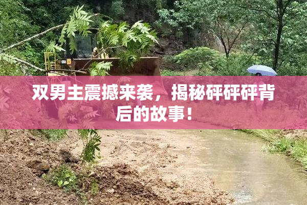 双男主震撼来袭，揭秘砰砰砰背后的故事！