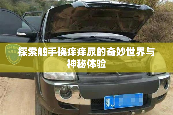 探索触手挠痒痒尿的奇妙世界与神秘体验