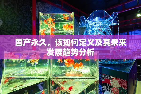 国产永久，该如何定义及其未来发展趋势分析