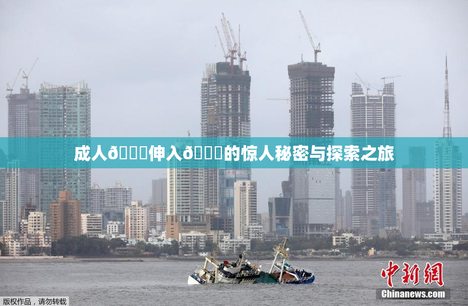 成人🍆伸入🍑的惊人秘密与探索之旅