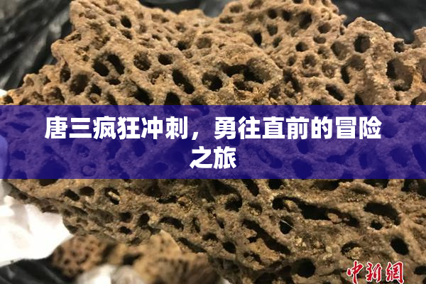 唐三疯狂冲刺，勇往直前的冒险之旅