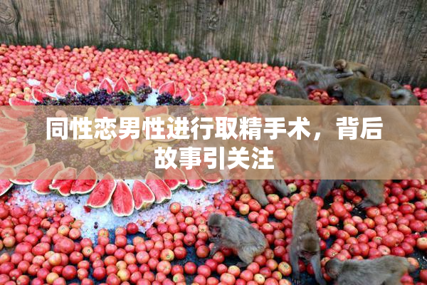 同性恋男性进行取精手术，背后故事引关注