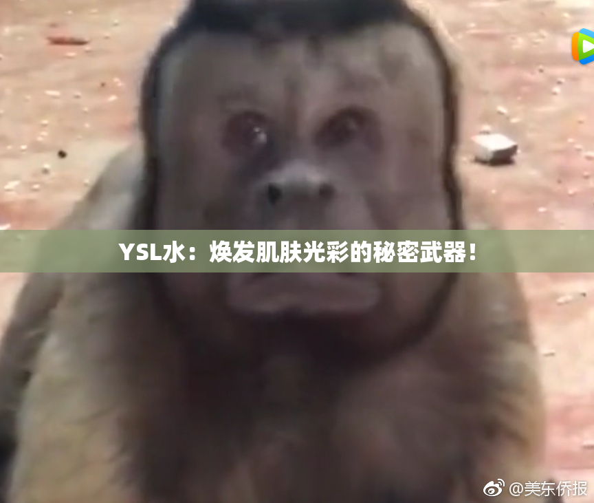 YSL水：焕发肌肤光彩的秘密武器！