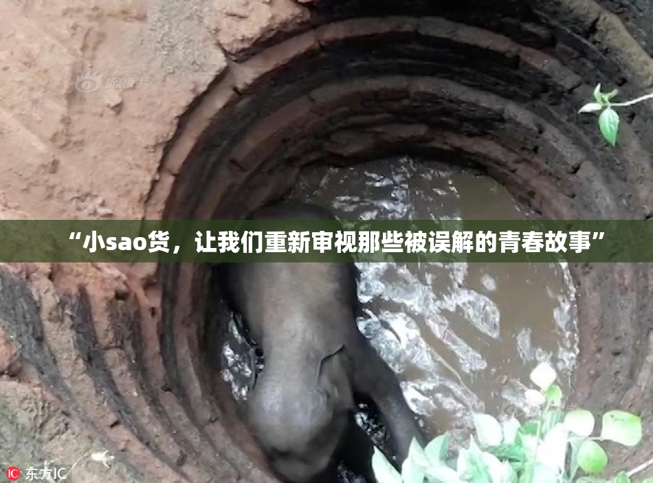 “小sao货，让我们重新审视那些被误解的青春故事”