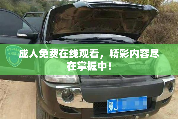 成人免费在线观看，精彩内容尽在掌握中！