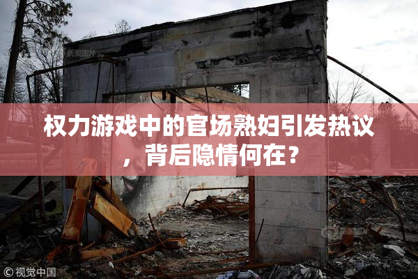 权力游戏中的官场熟妇引发热议，背后隐情何在？