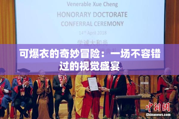 可爆衣的奇妙冒险：一场不容错过的视觉盛宴