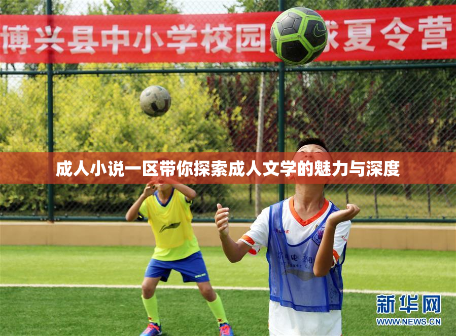 成人小说一区带你探索成人文学的魅力与深度