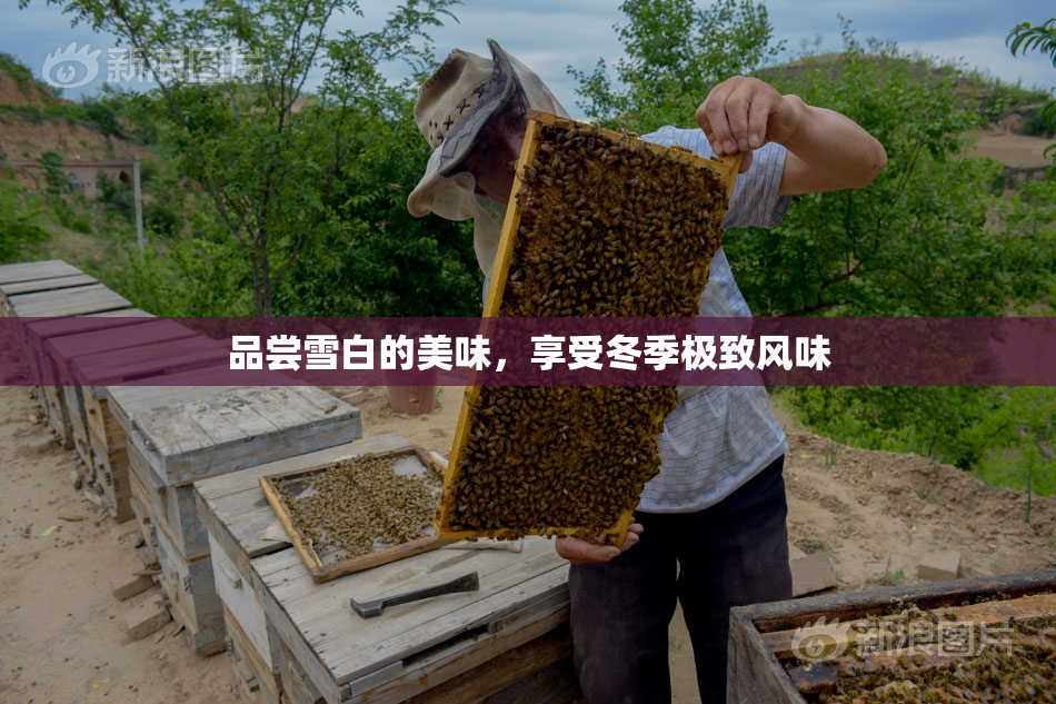 品尝雪白的美味，享受冬季极致风味
