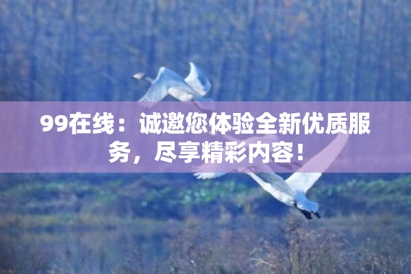 99在线：诚邀您体验全新优质服务，尽享精彩内容！