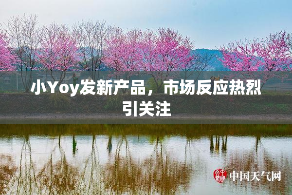 小Yoy发新产品，市场反应热烈引关注
