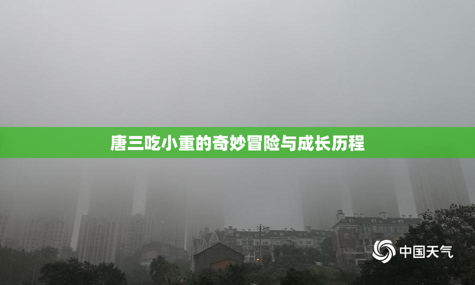 唐三吃小重的奇妙冒险与成长历程