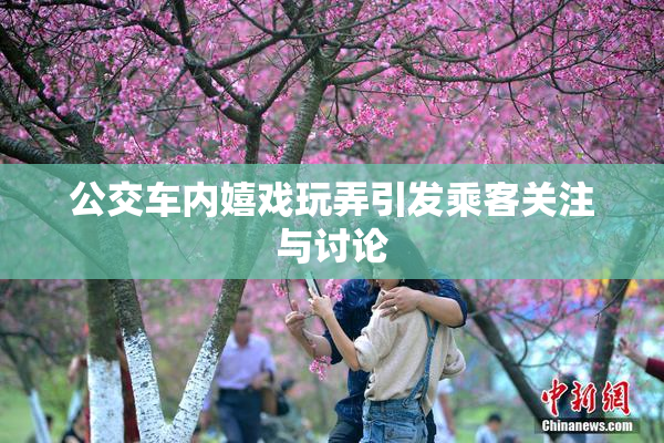 公交车内嬉戏玩弄引发乘客关注与讨论