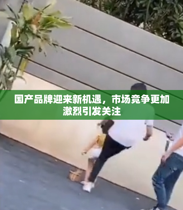 国产品牌迎来新机遇，市场竞争更加激烈引发关注