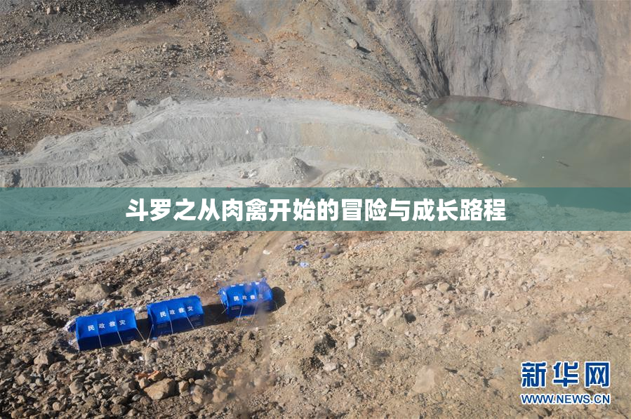斗罗之从肉禽开始的冒险与成长路程