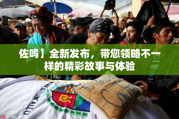 佐鸣】全新发布，带您领略不一样的精彩故事与体验