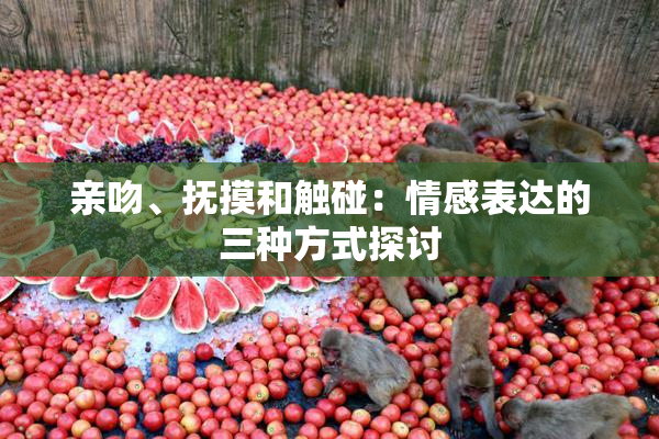 亲吻、抚摸和触碰：情感表达的三种方式探讨