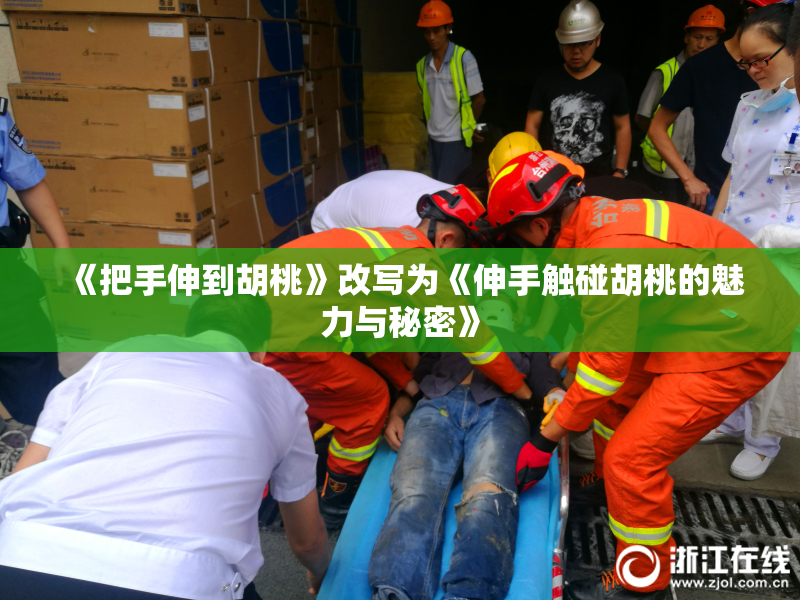 《把手伸到胡桃》改写为《伸手触碰胡桃的魅力与秘密》