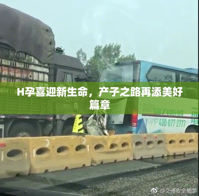 H孕喜迎新生命，产子之路再添美好篇章