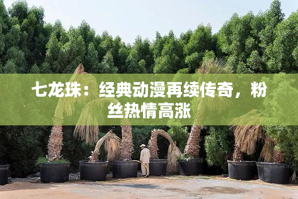 七龙珠：经典动漫再续传奇，粉丝热情高涨