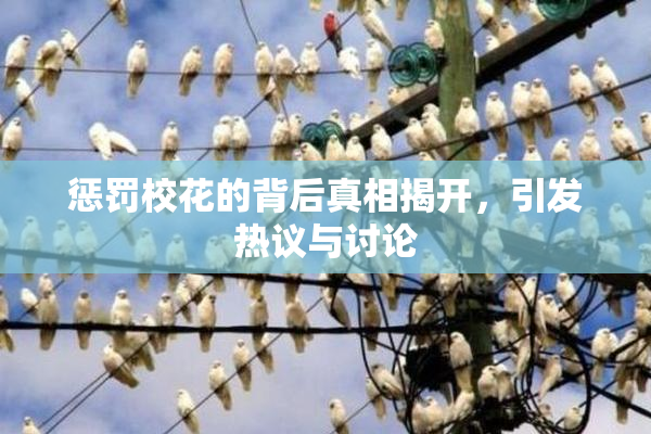 惩罚校花的背后真相揭开，引发热议与讨论