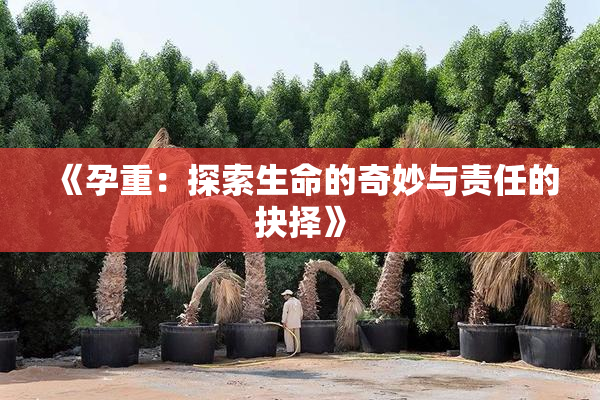 《孕重：探索生命的奇妙与责任的抉择》