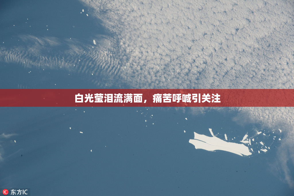 白光莹泪流满面，痛苦呼喊引关注