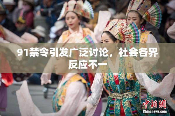 91禁令引发广泛讨论，社会各界反应不一