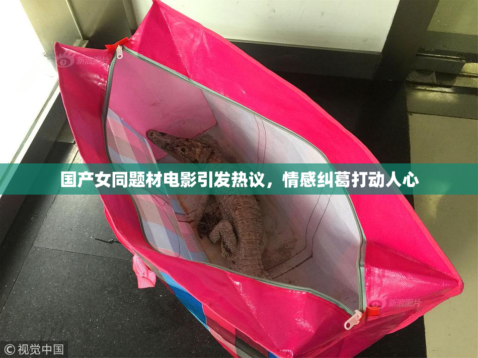 国产女同题材电影引发热议，情感纠葛打动人心