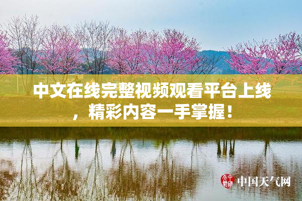 中文在线完整视频观看平台上线，精彩内容一手掌握！
