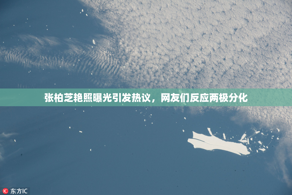 张柏芝艳照曝光引发热议，网友们反应两极分化